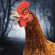 /data/image/scary-chicken-feet-escape-game-512x512.jpeg