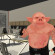 Surze /data/image/surze.jpeg