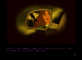 /data/image/what-girls-do-in-dark.png